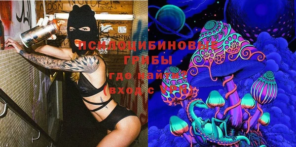 ПСИЛОЦИБИНОВЫЕ ГРИБЫ Балахна