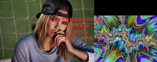 ПСИЛОЦИБИНОВЫЕ ГРИБЫ Балахна