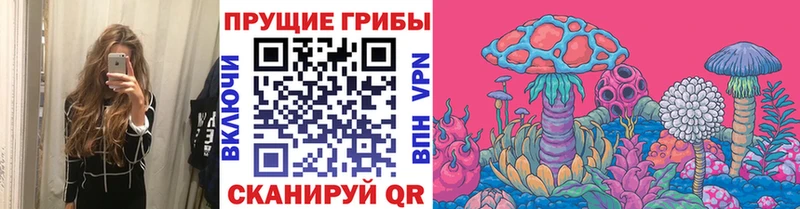 Галлюциногенные грибы Psilocybe  наркотики  Киров 