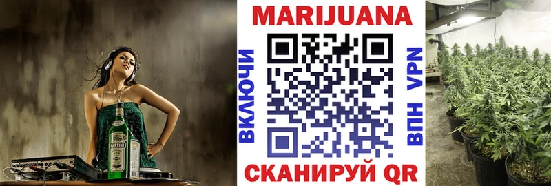 где купить   Киров  Шишки марихуана Amnesia 